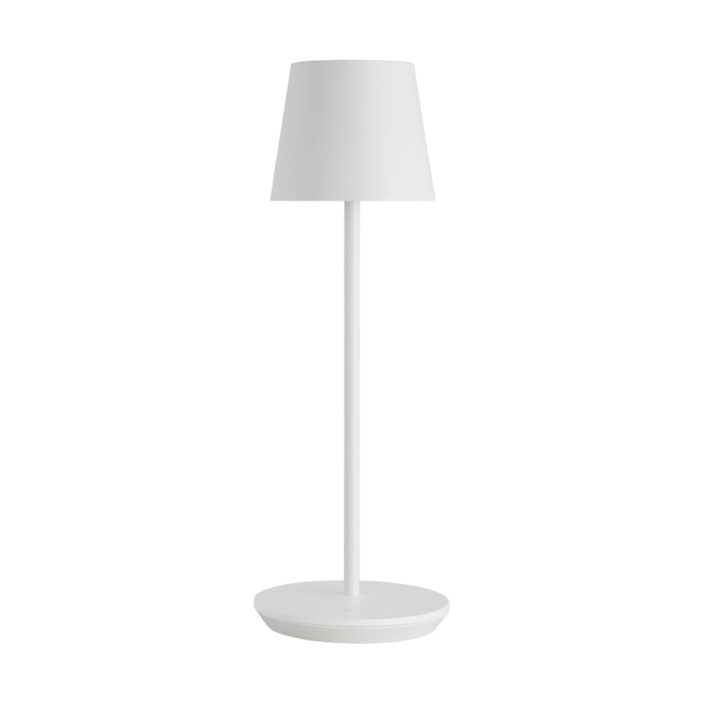 Visual Comfort Nevis Accent Rechargeable Table Lamp